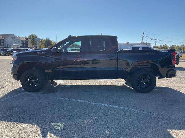 2025 Chevrolet Silverado 1500 Vehicle Photo in PONCA CITY, OK 74601-1036