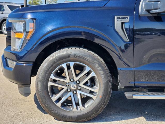 2023 Ford F-150 Vehicle Photo in Pilot Point, TX 76258