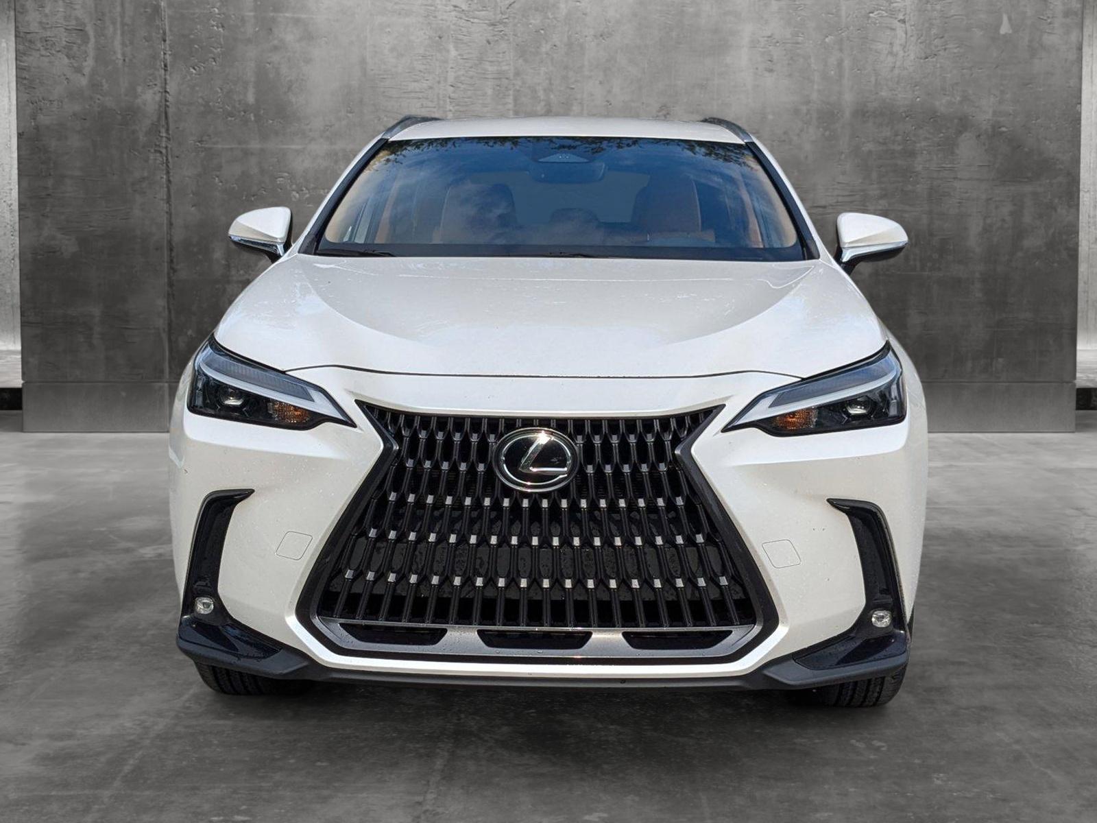 2022 Lexus NX 250 Vehicle Photo in West Palm Beach, FL 33417