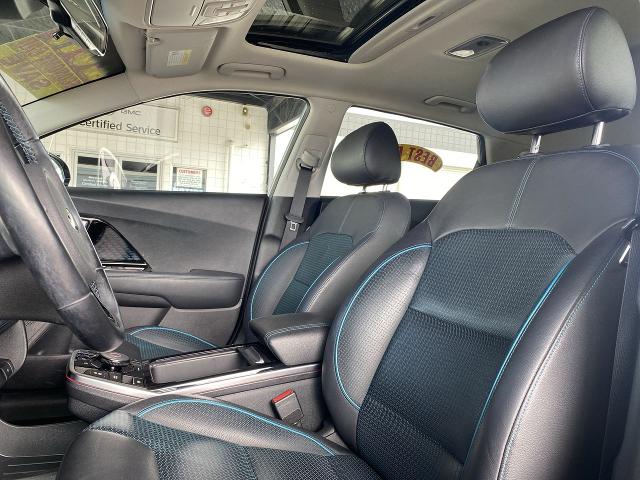 2019 Kia Niro EV Vehicle Photo in TURLOCK, CA 95380-4918