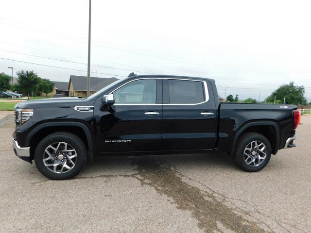 2024 GMC Sierra 1500 Vehicle Photo in Weatherford, TX 76087