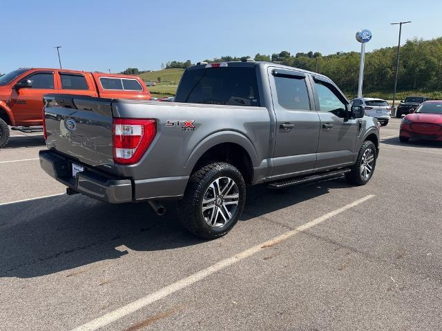 2023 Ford F-150 Vehicle Photo in Jackson, OH 45640-9766