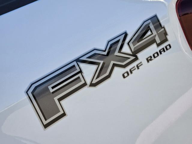 2024 Ford F-150 Vehicle Photo in STEPHENVILLE, TX 76401-3713