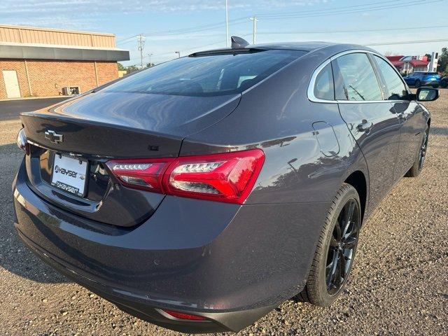 2025 Chevrolet Malibu Vehicle Photo in SAUK CITY, WI 53583-1301