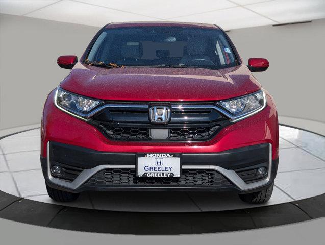 2022 Honda CR-V Vehicle Photo in Greeley, CO 80634-8763