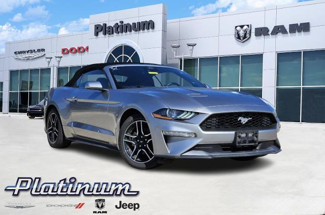 2022 Ford Mustang Vehicle Photo in Terrell, TX 75160