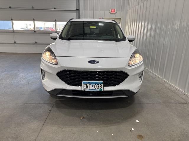 2020 Ford Escape Vehicle Photo in GLENWOOD, MN 56334-1123