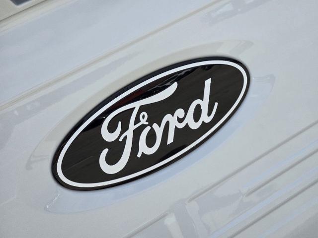 2024 Ford F-150 Vehicle Photo in STEPHENVILLE, TX 76401-3713