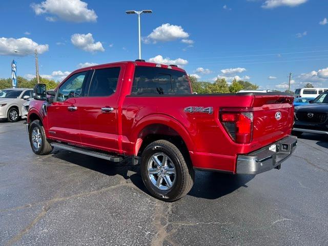 2024 Ford F-150 Vehicle Photo in Danville, KY 40422-2805