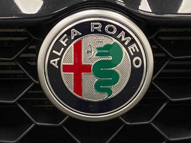 2022 Alfa Romeo Giulia Vehicle Photo in Appleton, WI 54913