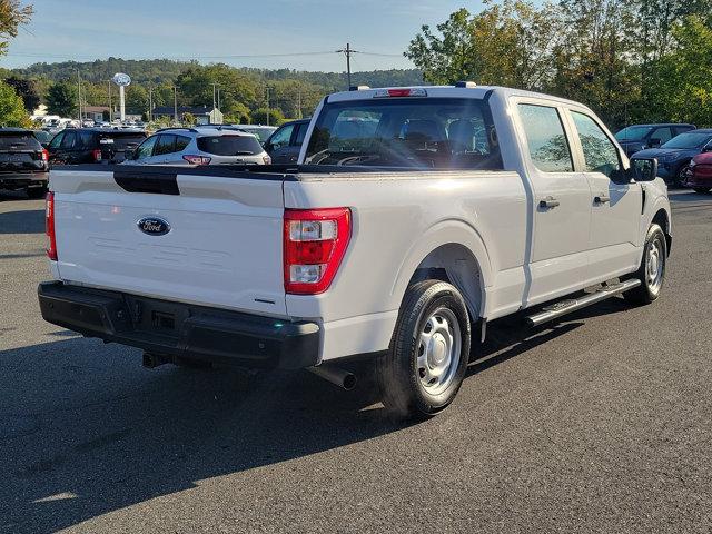 2023 Ford F-150 Vehicle Photo in Boyertown, PA 19512