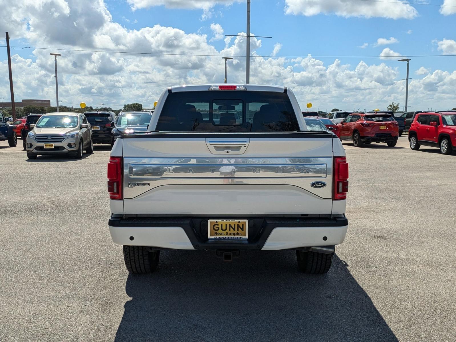 2015 Ford F-150 Vehicle Photo in Seguin, TX 78155