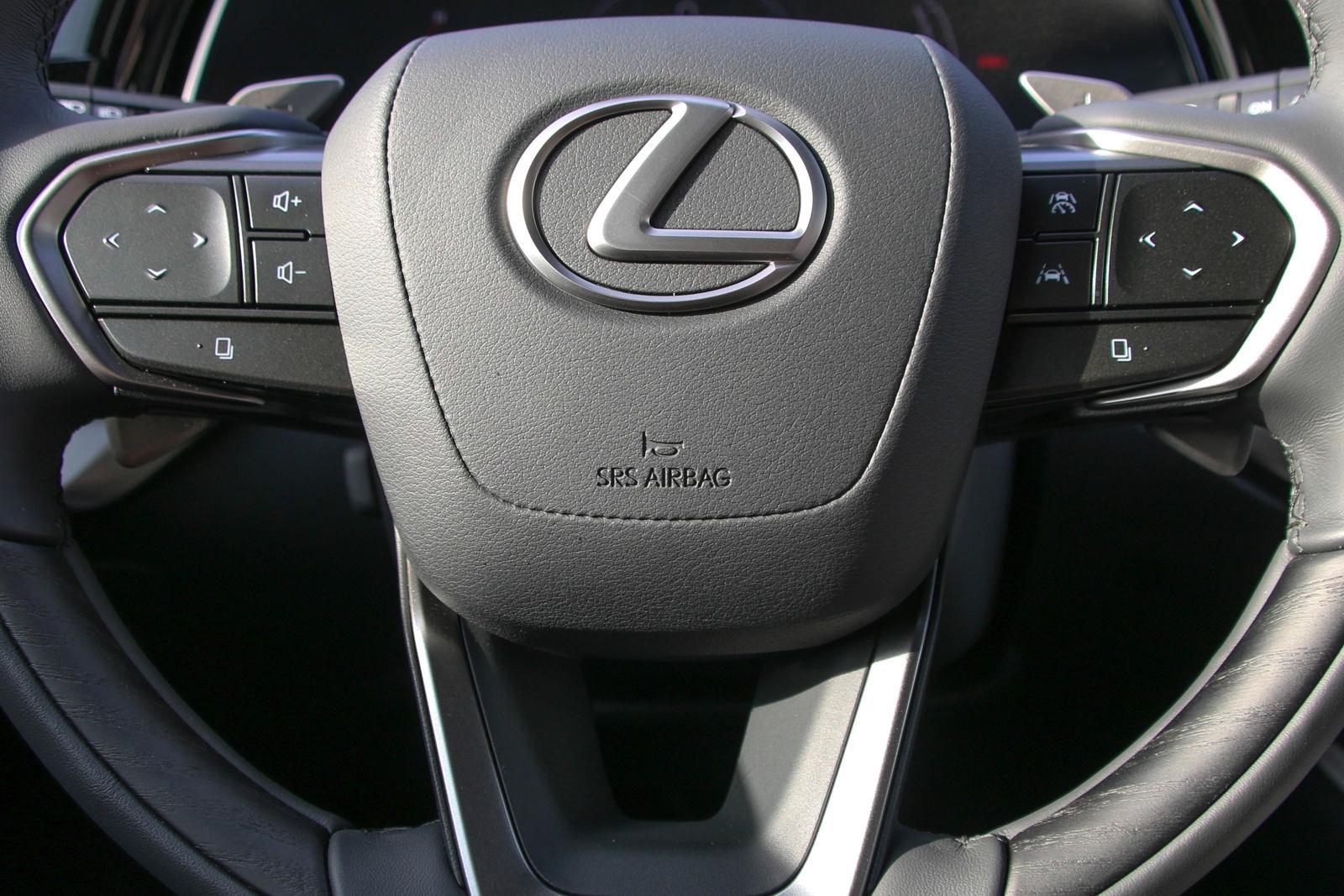 2024 Lexus RX 350 Vehicle Photo in SUGAR LAND, TX 77478