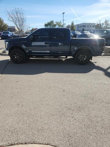 2016 Ford F-150 Vehicle Photo in Lees Summit, MO 64086