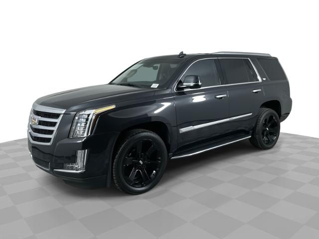 2019 Cadillac Escalade Vehicle Photo in GILBERT, AZ 85297-0402