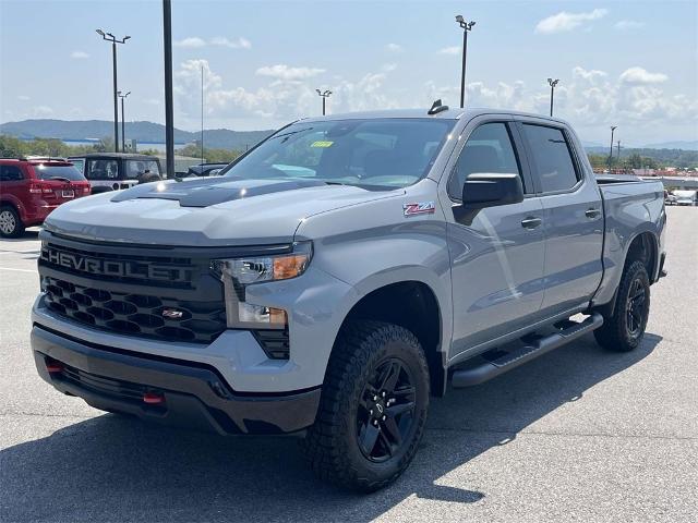 2024 Chevrolet Silverado 1500 Vehicle Photo in ALCOA, TN 37701-3235