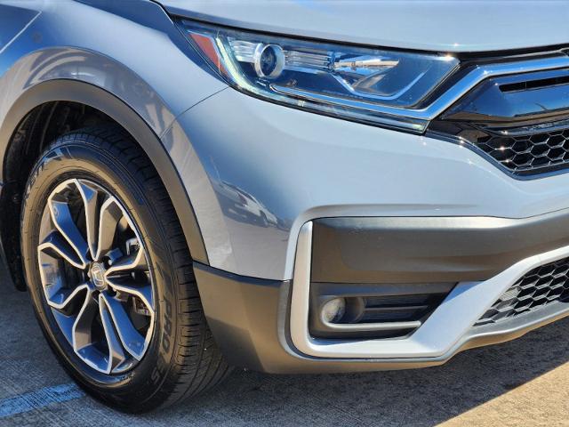 2022 Honda CR-V Vehicle Photo in Denison, TX 75020