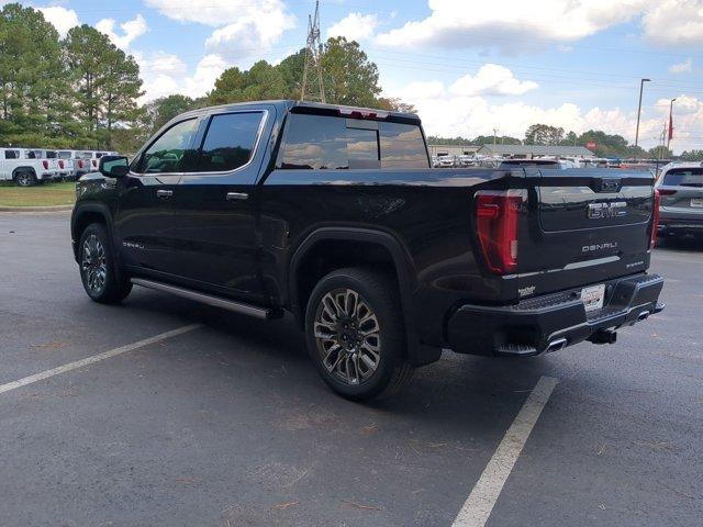 2025 GMC Sierra 1500 Vehicle Photo in ALBERTVILLE, AL 35950-0246