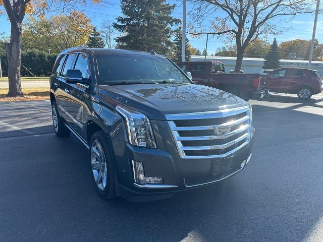 2019 Cadillac Escalade Vehicle Photo in NEENAH, WI 54956-2243