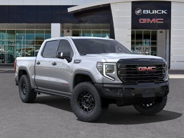 2023 GMC Sierra 1500 Vehicle Photo in SELMA, TX 78154-1459