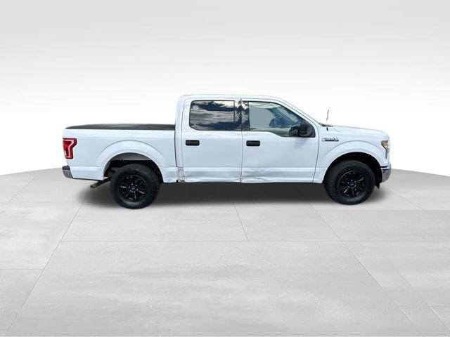 2017 Ford F-150 Vehicle Photo in MEDINA, OH 44256-9631