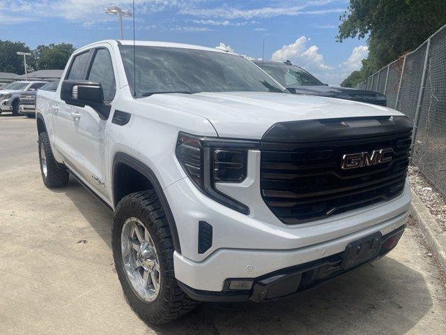 2023 GMC Sierra 1500 Vehicle Photo in SELMA, TX 78154-1460