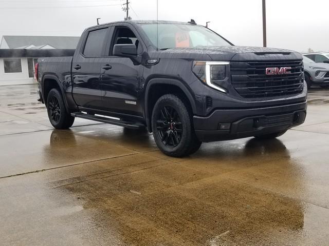 2024 GMC Sierra 1500 Vehicle Photo in ELYRIA, OH 44035-6349