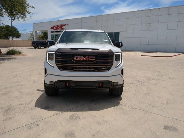 2023 GMC Sierra 1500 Vehicle Photo in SELMA, TX 78154-1460