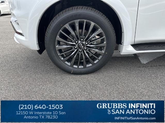 2024 INFINITI QX80 Vehicle Photo in San Antonio, TX 78230