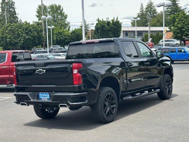 2024 Chevrolet Silverado 1500 Vehicle Photo in NEWBERG, OR 97132-1927