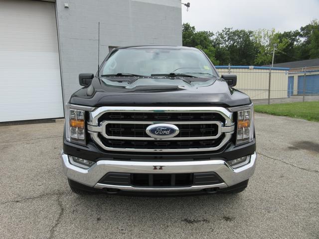 2023 Ford F-150 Vehicle Photo in ELYRIA, OH 44035-6349