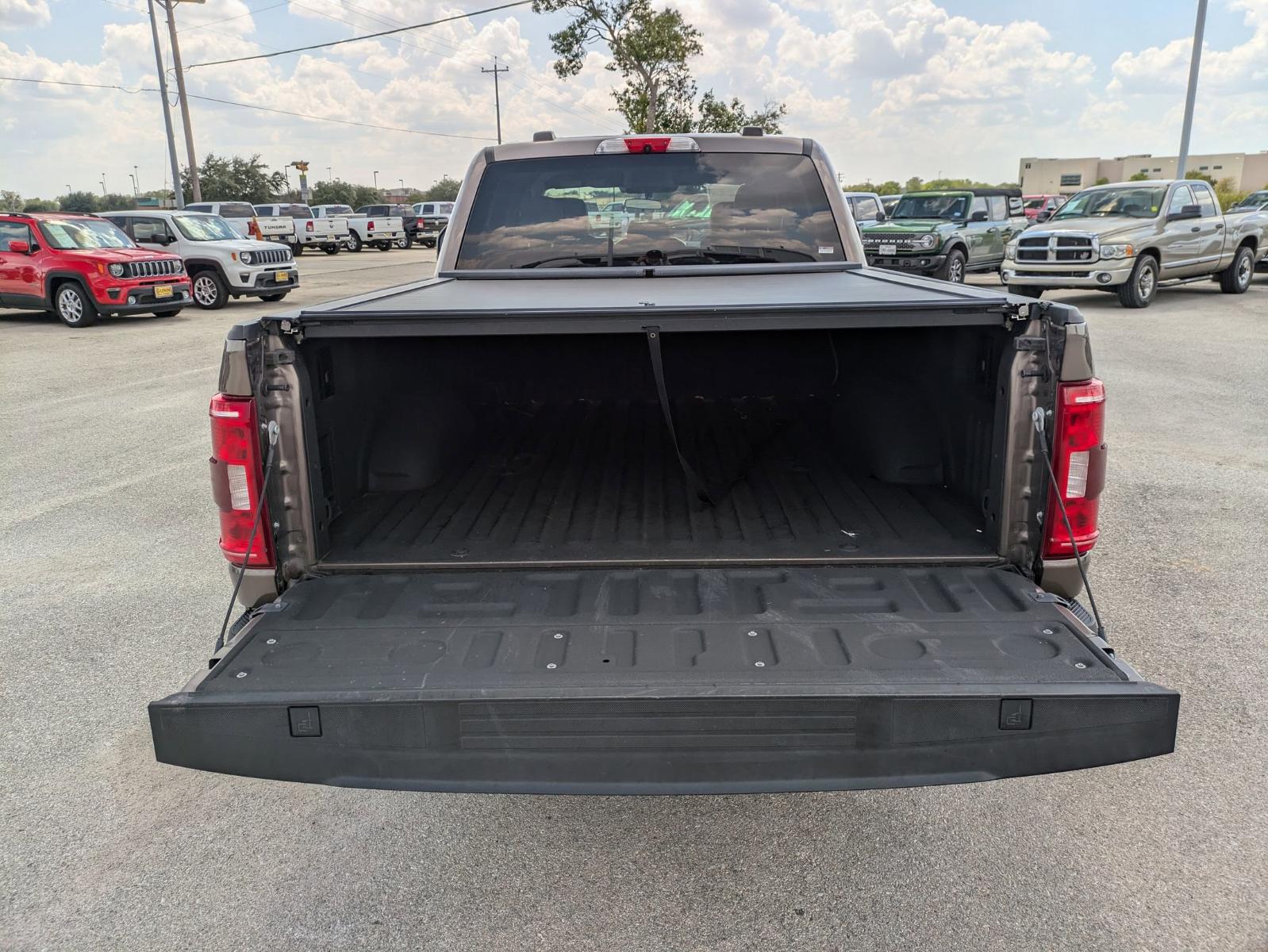 2021 Ford F-150 Vehicle Photo in Seguin, TX 78155