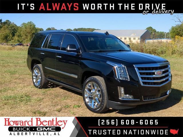 2019 Cadillac Escalade Vehicle Photo in ALBERTVILLE, AL 35950-0246