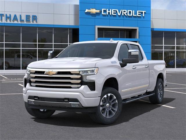 2025 Chevrolet Silverado 1500 Vehicle Photo in GLENWOOD, MN 56334-1123