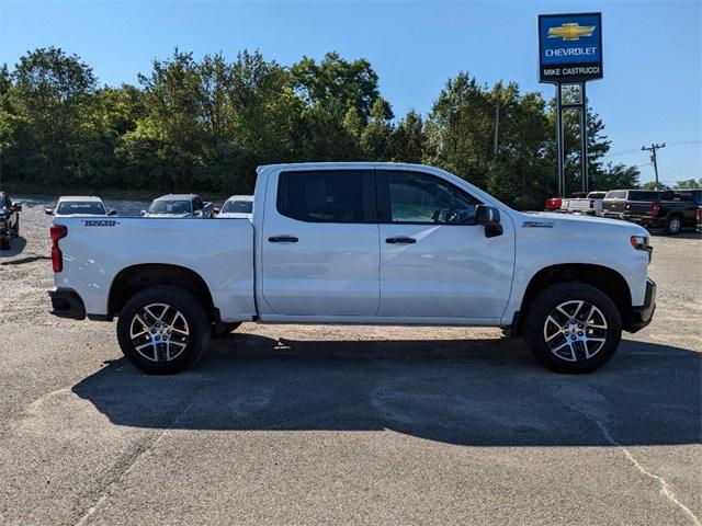 2019 Chevrolet Silverado 1500 Vehicle Photo in MILFORD, OH 45150-1684