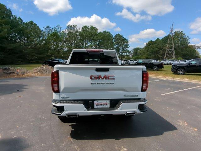 2025 GMC Sierra 1500 Vehicle Photo in ALBERTVILLE, AL 35950-0246