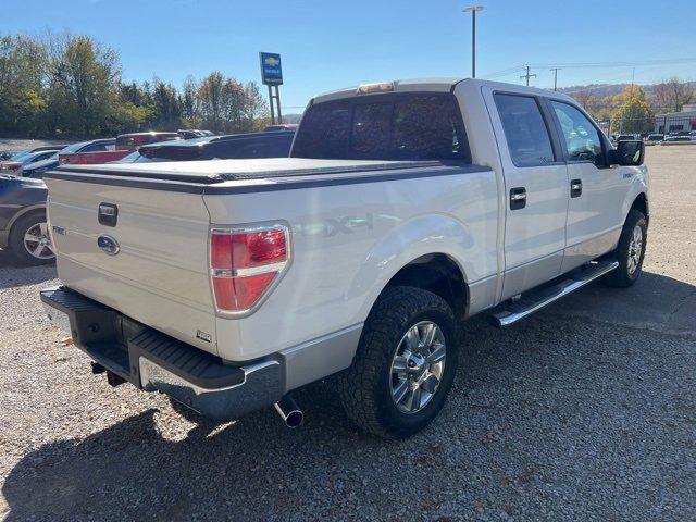 2010 Ford F-150 Vehicle Photo in MILFORD, OH 45150-1684