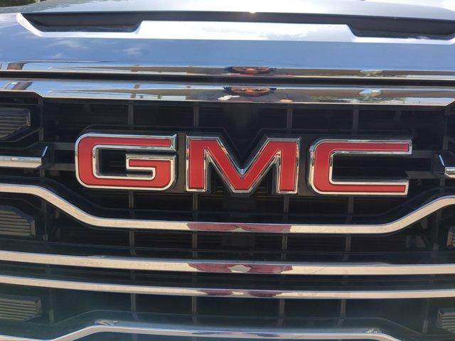 2024 GMC Sierra 1500 Vehicle Photo in SELMA, TX 78154-1459