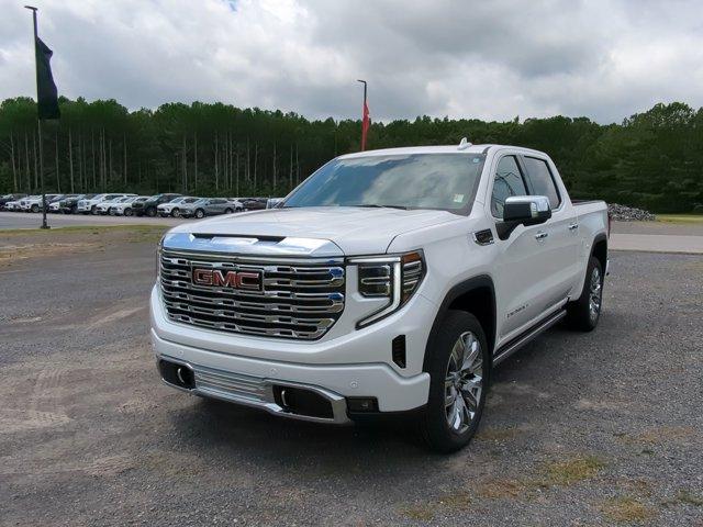 2024 GMC Sierra 1500 Vehicle Photo in ALBERTVILLE, AL 35950-0246