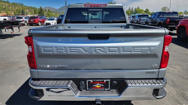 2025 Chevrolet Silverado 1500 Vehicle Photo in FLAGSTAFF, AZ 86001-6214