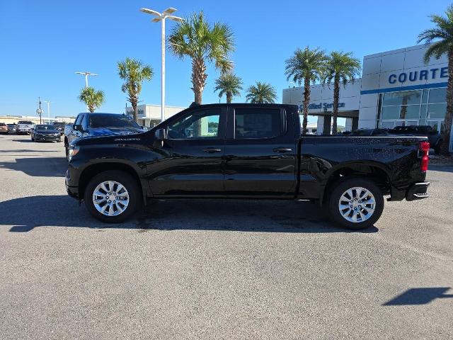 2025 Chevrolet Silverado 1500 Vehicle Photo in BROUSSARD, LA 70518-0000