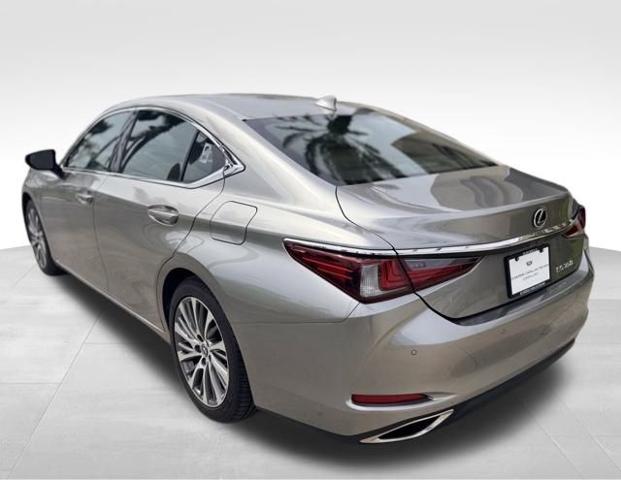 2019 Lexus ES Vehicle Photo in DELRAY BEACH, FL 33483-3294