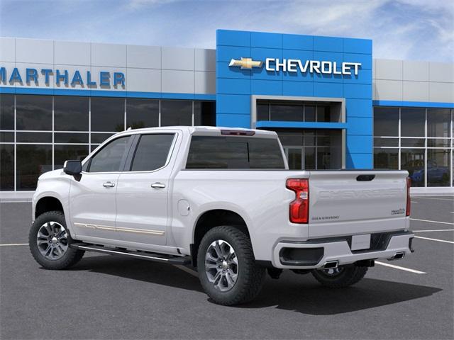 2025 Chevrolet Silverado 1500 Vehicle Photo in GLENWOOD, MN 56334-1123