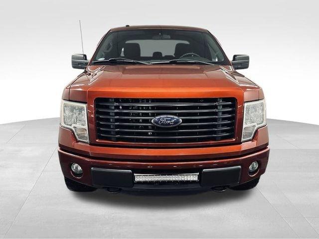 2014 Ford F-150 Vehicle Photo in MEDINA, OH 44256-9631