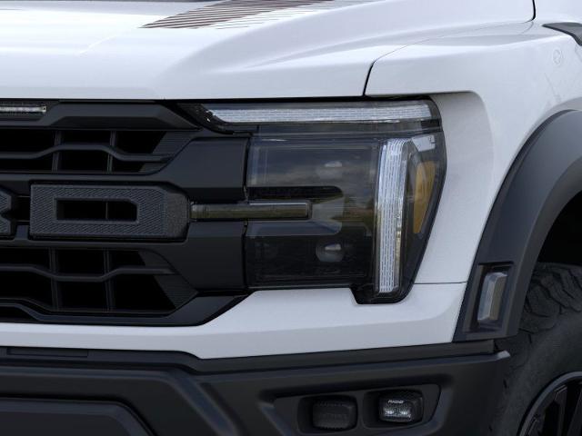 2024 Ford F-150 Vehicle Photo in Winslow, AZ 86047-2439