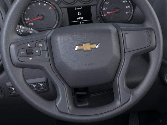 2025 Chevrolet Silverado 1500 Vehicle Photo in BOSTON, NY 14025-9684