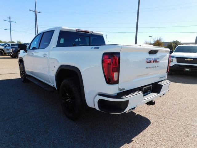 2025 GMC Sierra 1500 Vehicle Photo in GATESVILLE, TX 76528-2745