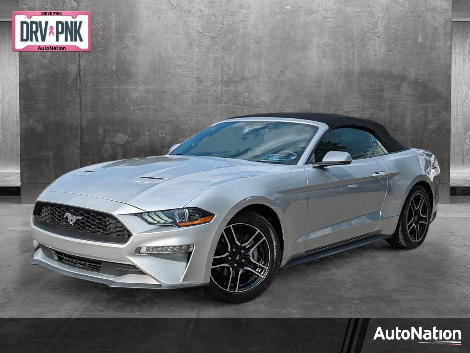 2019 Ford Mustang Vehicle Photo in Jacksonville, FL 32244