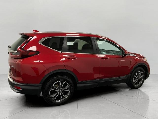 2020 Honda CR-V Vehicle Photo in Appleton, WI 54913