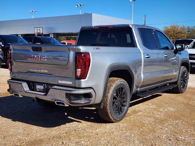 2025 GMC Sierra 1500 Vehicle Photo in PARIS, TX 75460-2116